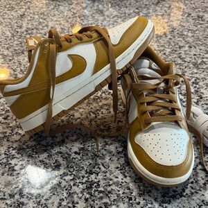 Nike Dunk Low Retros